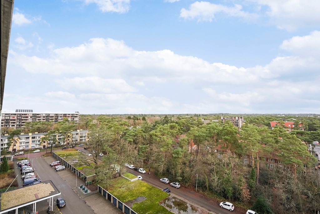 Anna Paulownalaan 172_10.jpg